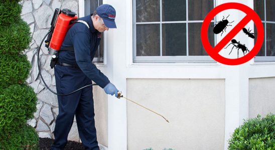 Alaçam Bit İlaçlama böcek ilaçlama ve haşere kontrolü — ilaclama-tr.com